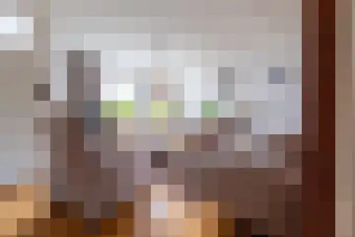 Boveneind 38 Leek thumbnail 9