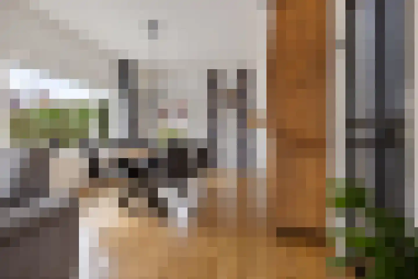 Boveneind 57 Leek thumbnail 14