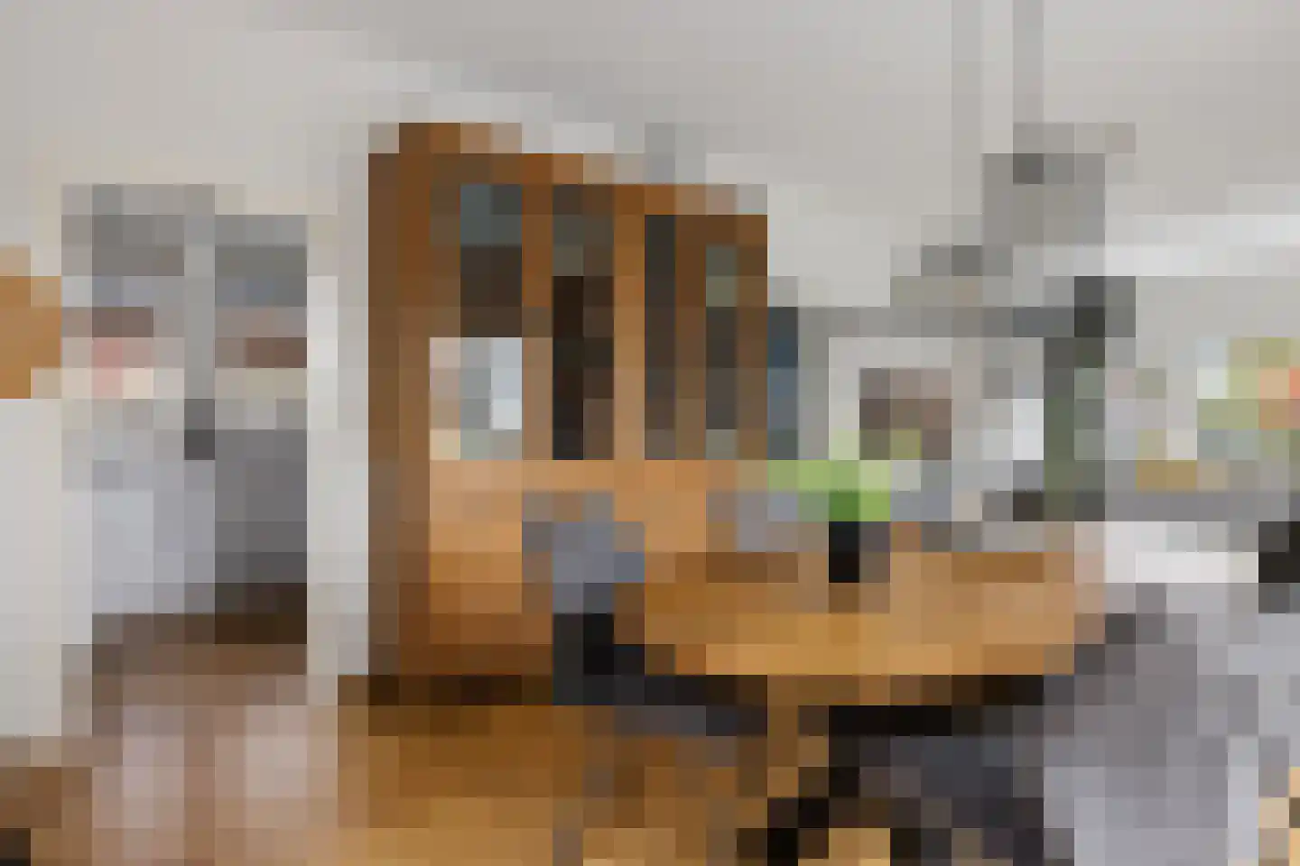 Boveneind 57 Leek thumbnail 15
