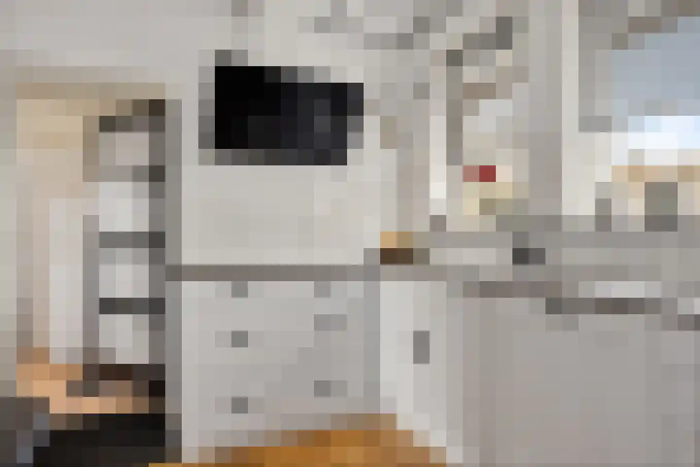 Boveneind 57 Leek thumbnail 19