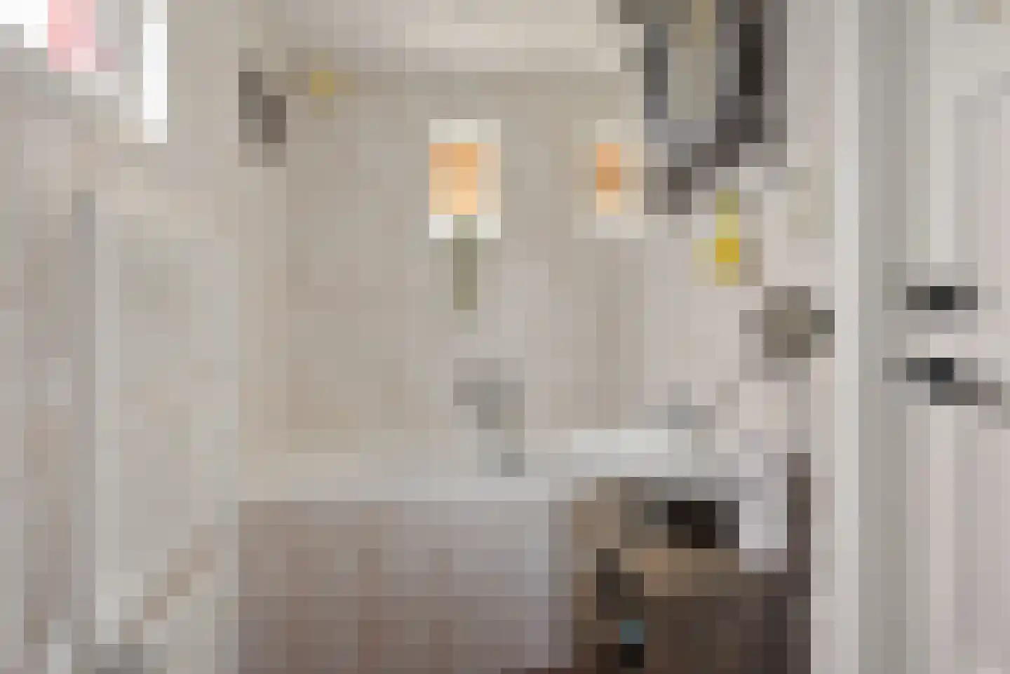 Boveneind 57 Leek thumbnail 25