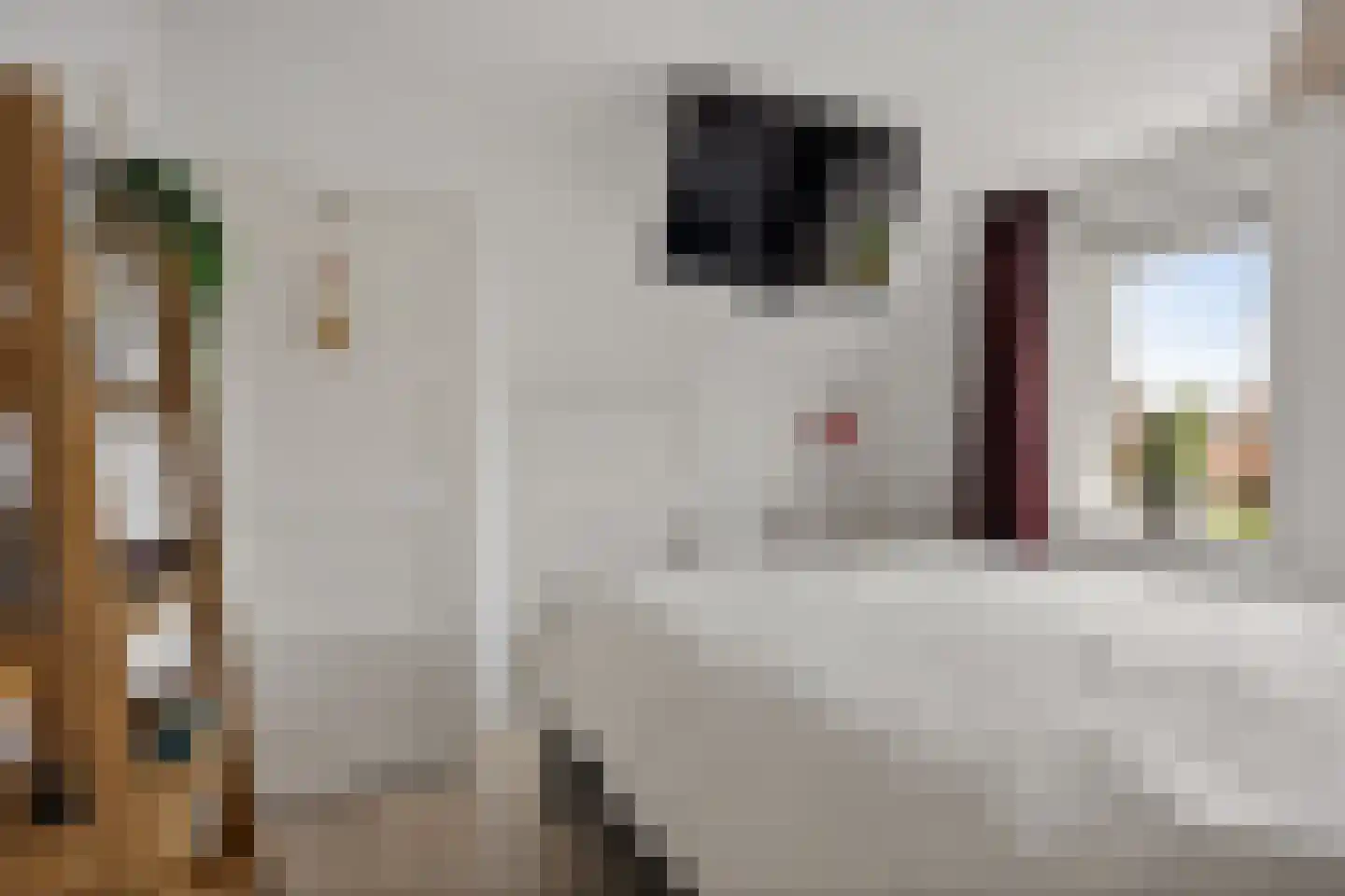 Boveneind 57 Leek thumbnail 28