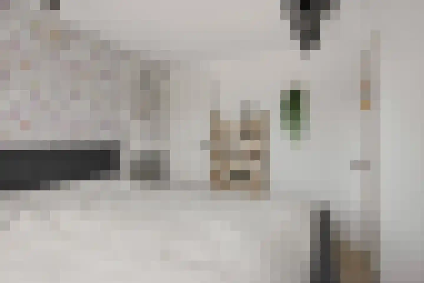 Boveneind 57 Leek thumbnail 31