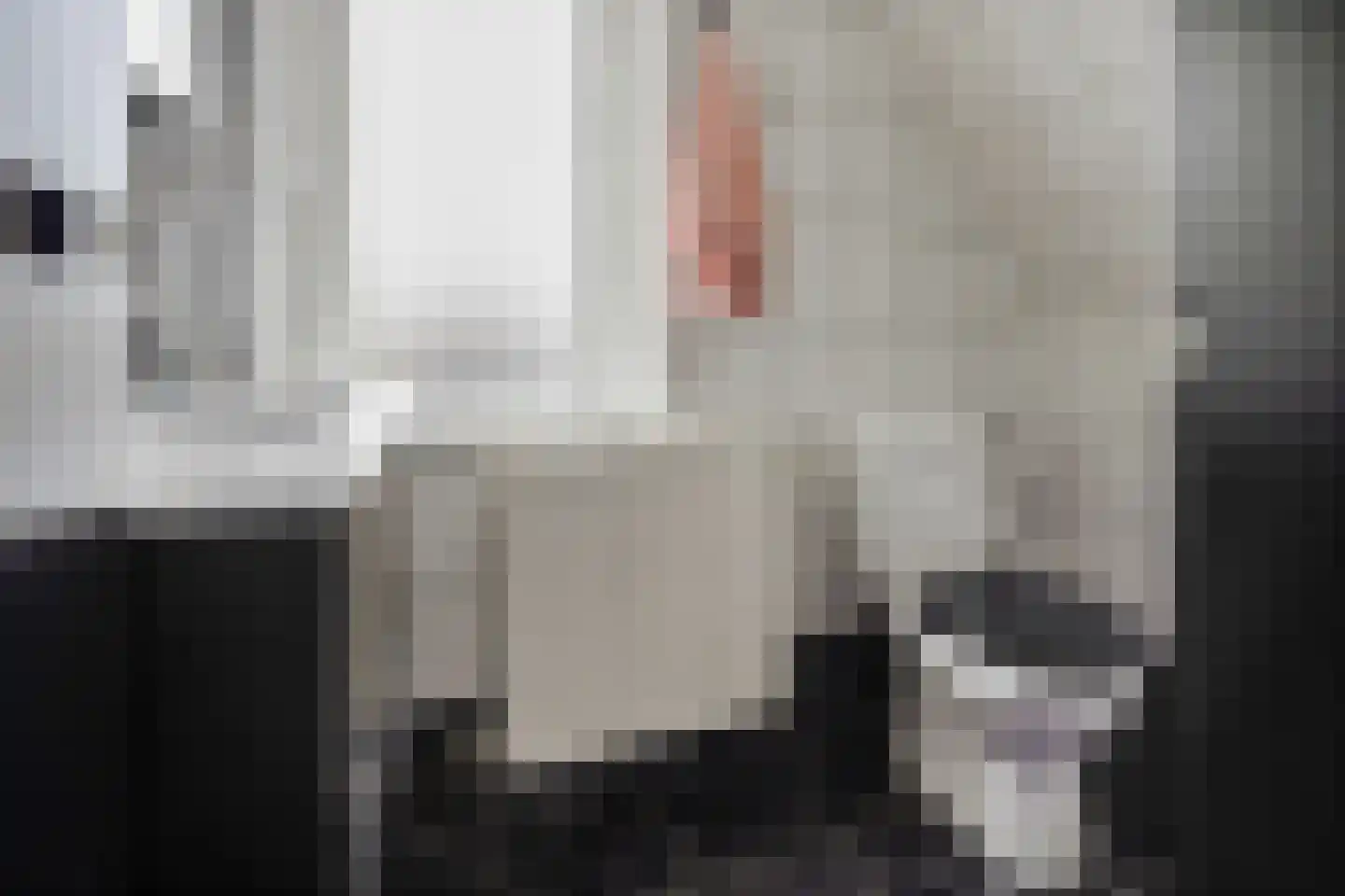 Boveneind 57 Leek thumbnail 33
