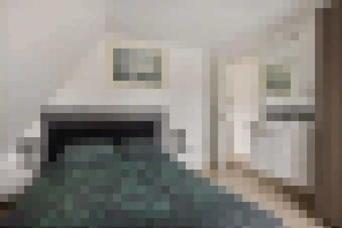 Boveneind 57 Leek thumbnail 34