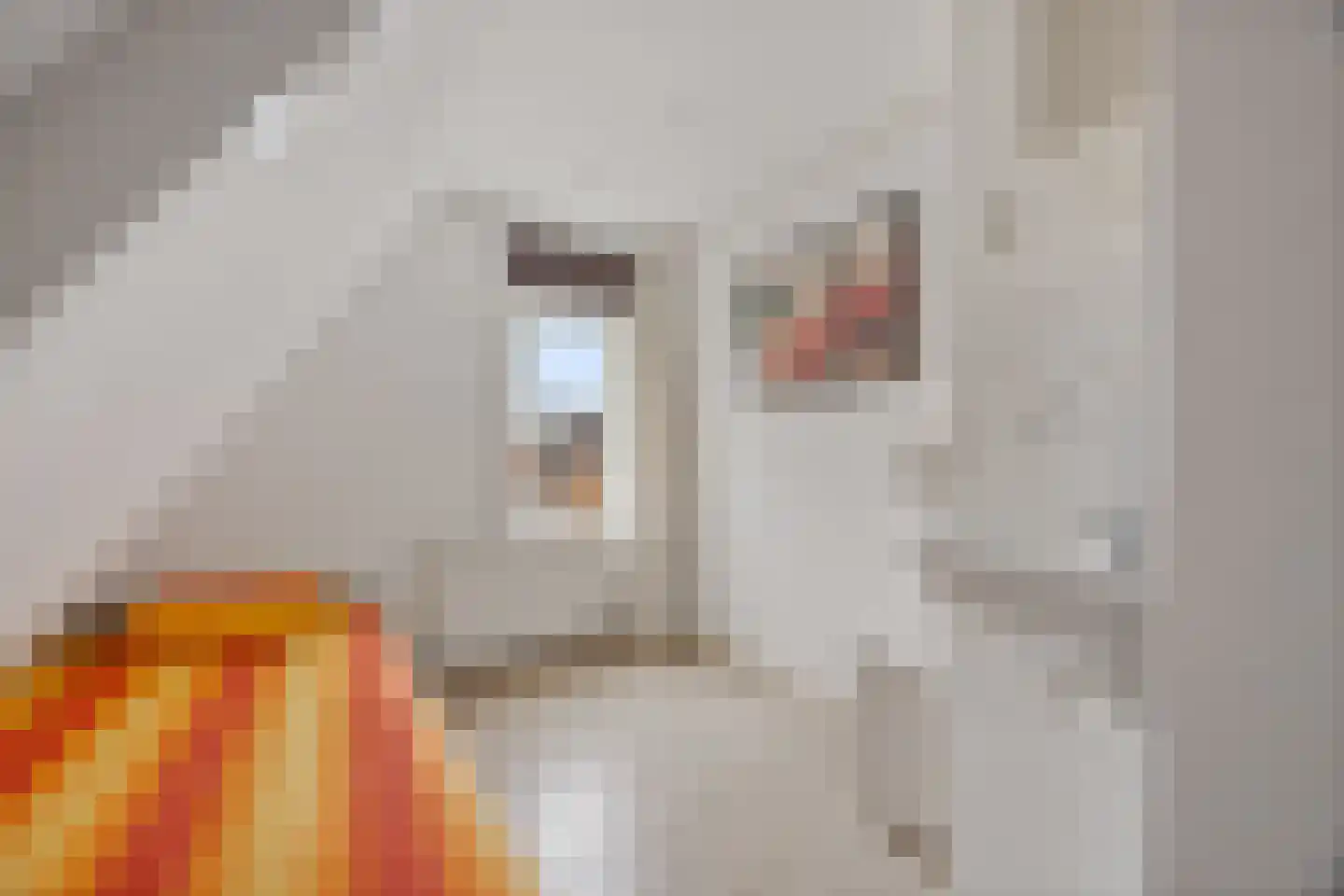 Boveneind 57 Leek thumbnail 36