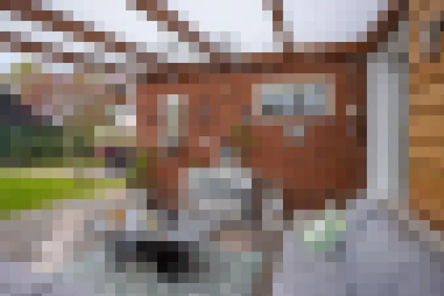 Boveneind 57 Leek thumbnail 39