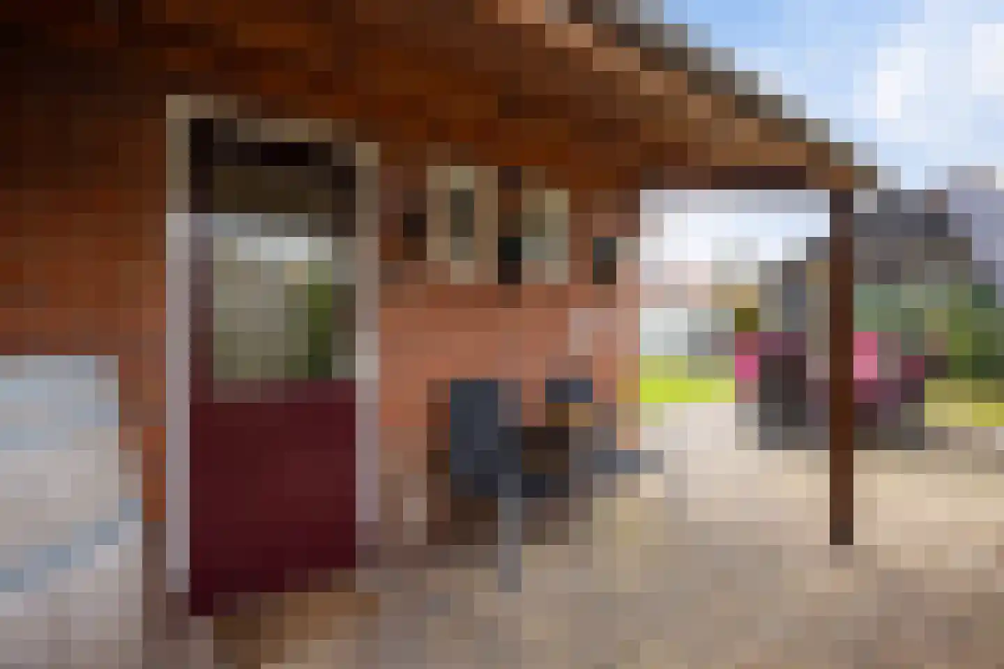 Boveneind 57 Leek thumbnail 40