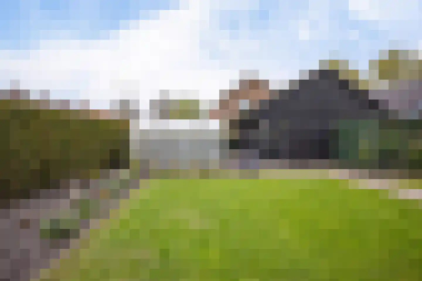 Boveneind 57 Leek thumbnail 44
