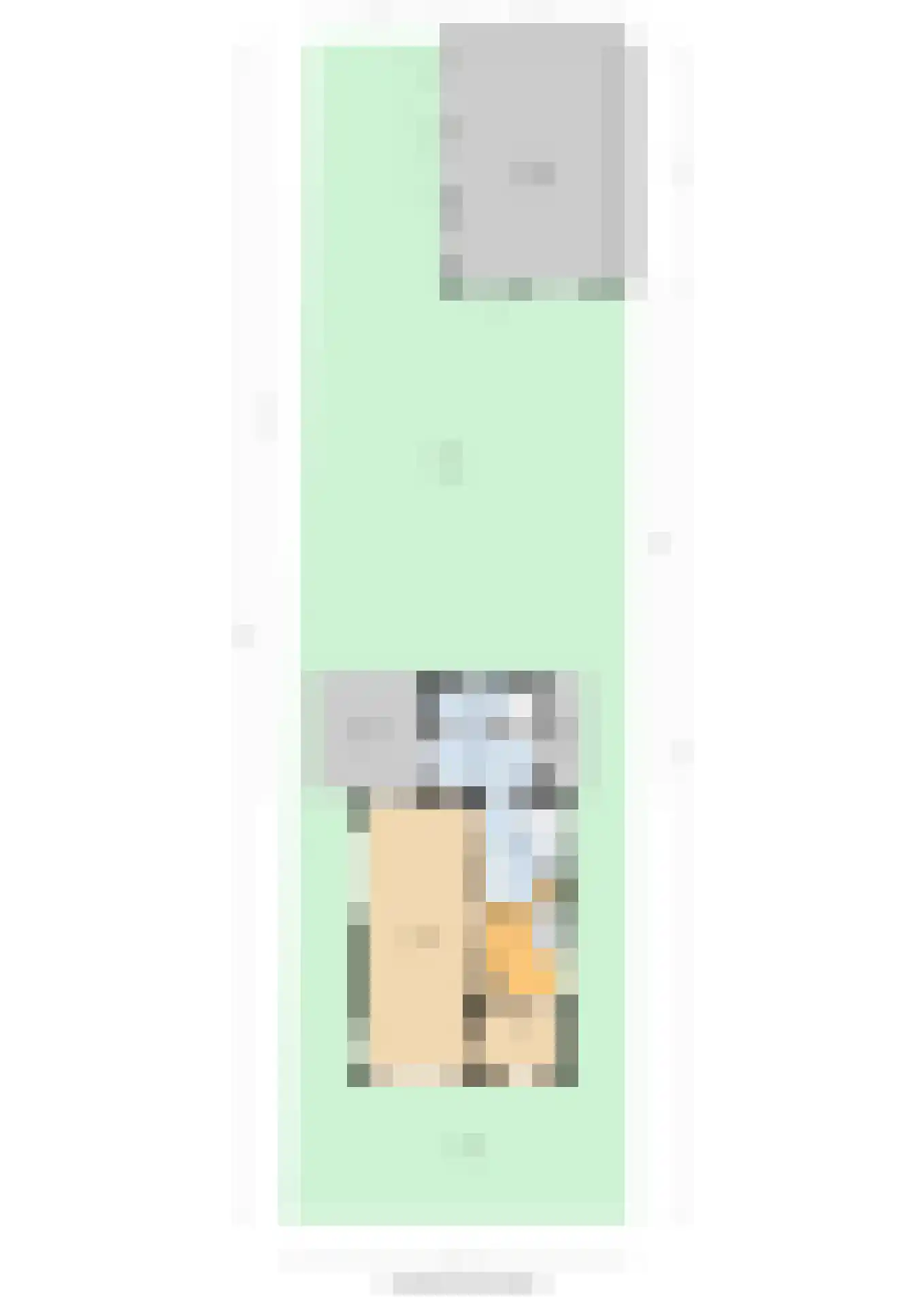 Boveneind 57 Leek thumbnail 57