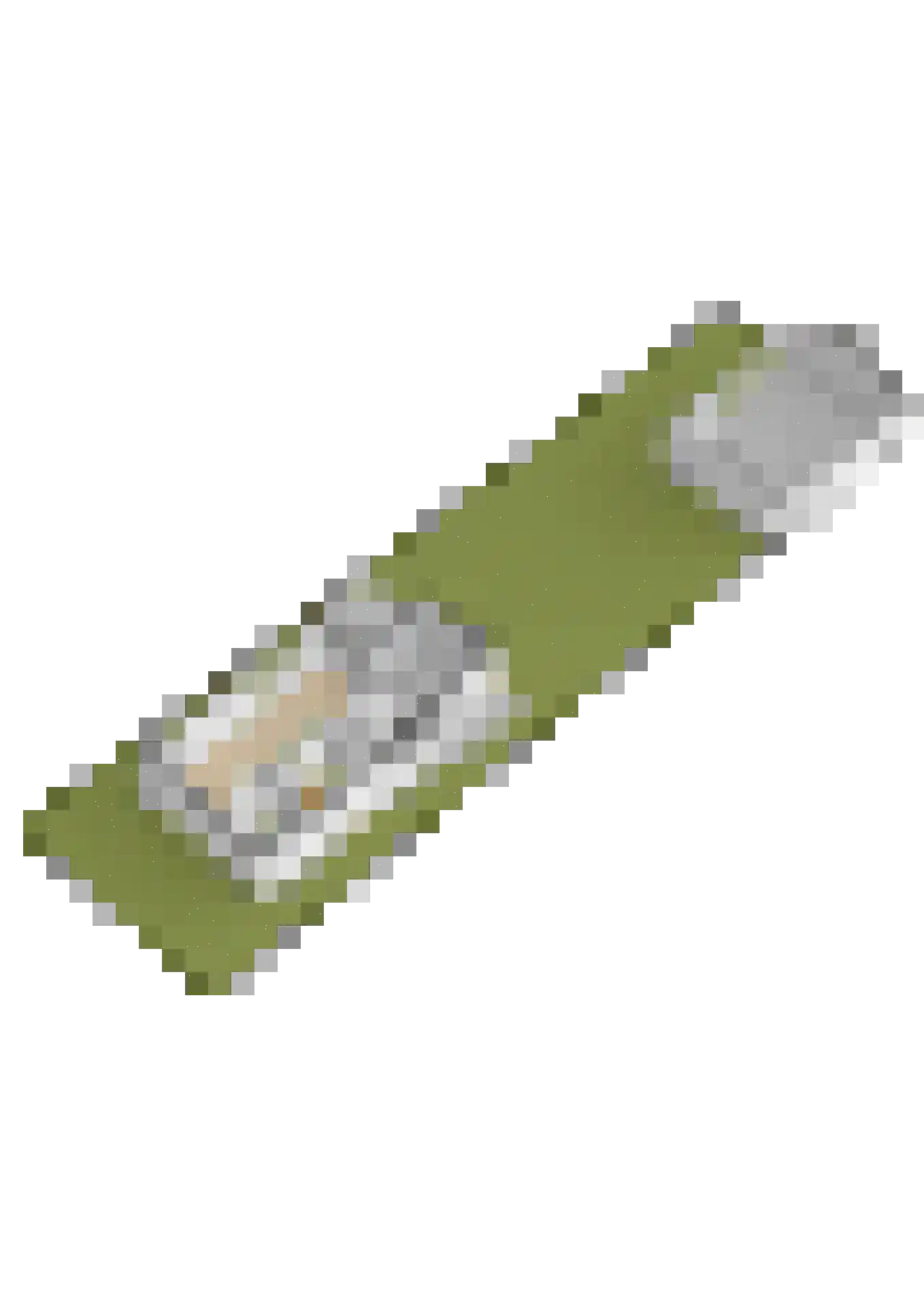 Boveneind 57 Leek thumbnail 58