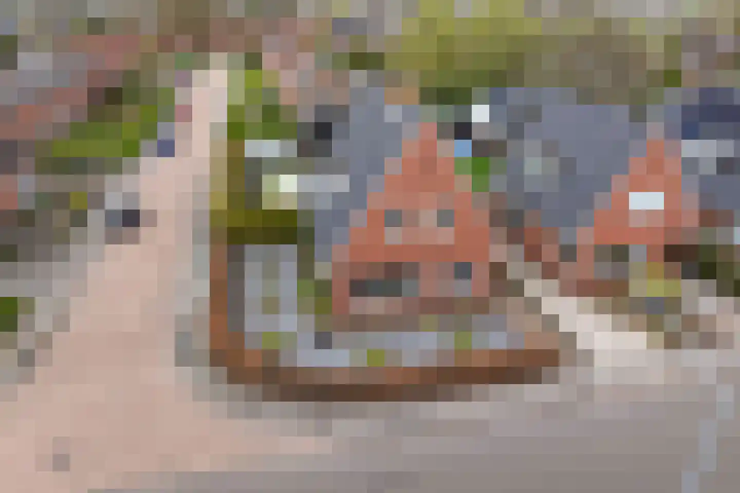 Boveneind 57 Leek thumbnail 8