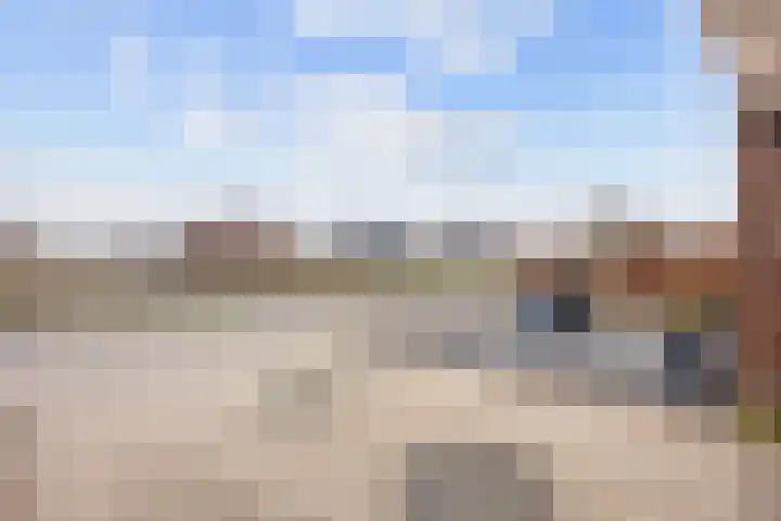 Boveneind 67 Leek thumbnail 12