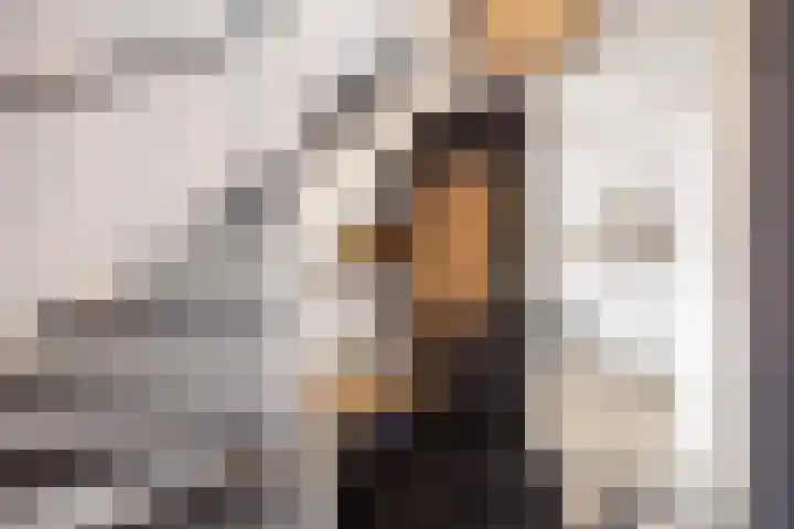 Boveneind 67 Leek thumbnail 13