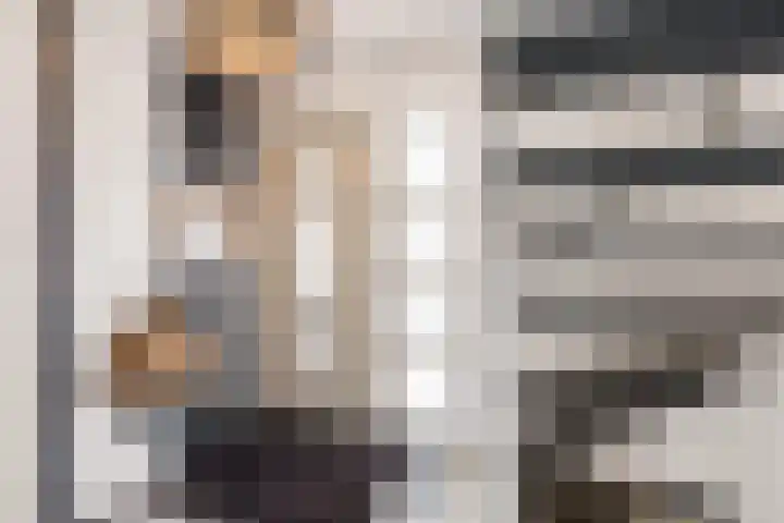 Boveneind 67 Leek thumbnail 14