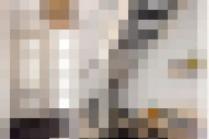 Boveneind 67 Leek thumbnail 15