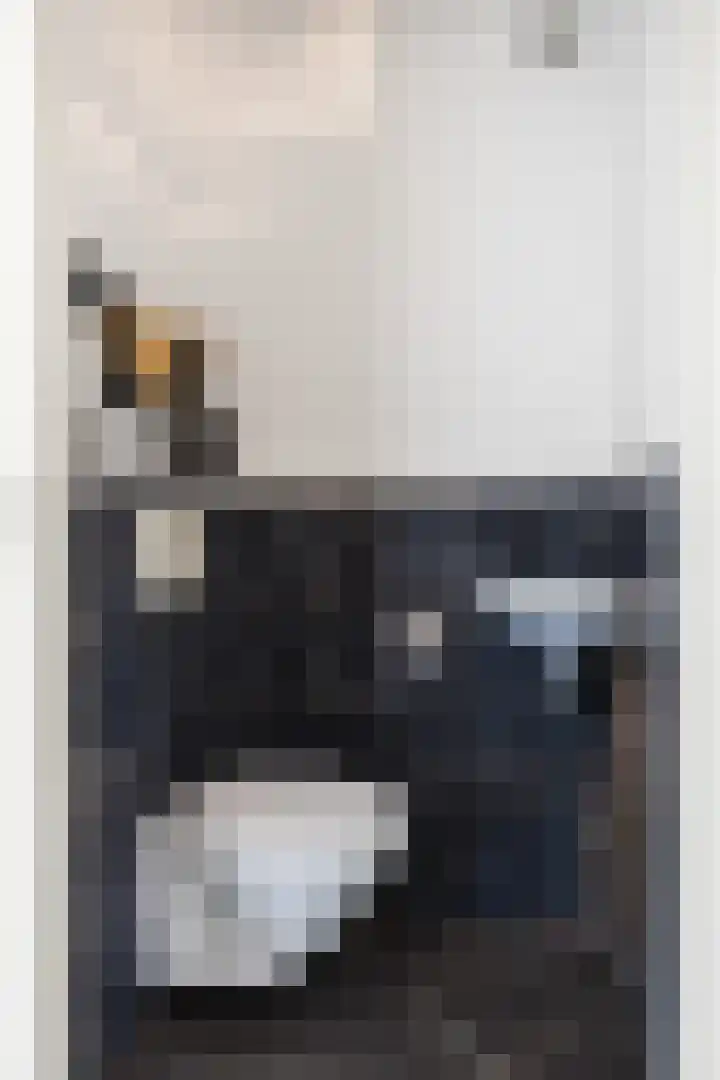 Boveneind 67 Leek thumbnail 16