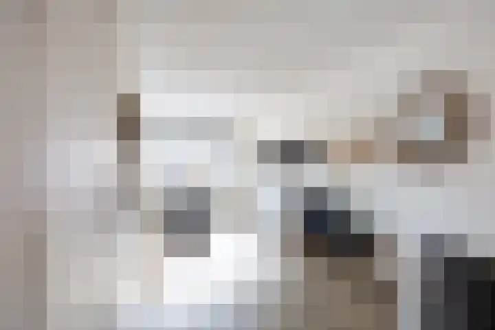 Boveneind 67 Leek thumbnail 17