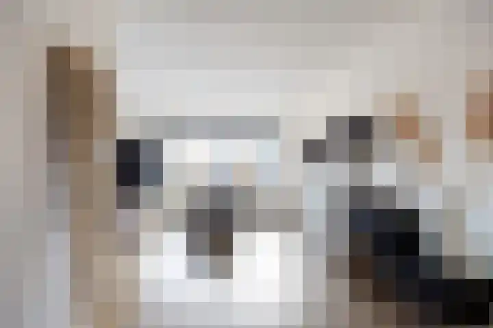Boveneind 67 Leek thumbnail 18
