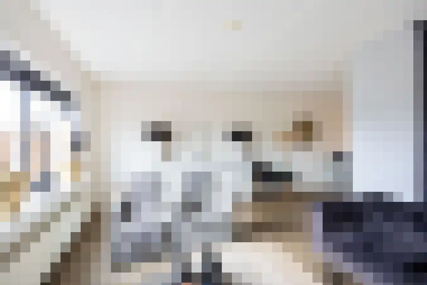 Boveneind 67 Leek thumbnail 24