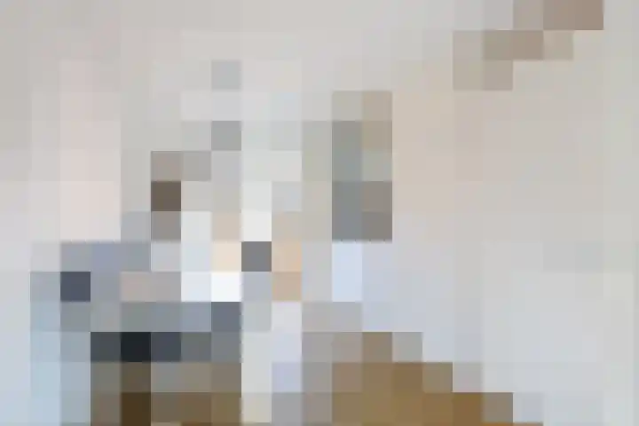 Boveneind 67 Leek thumbnail 27
