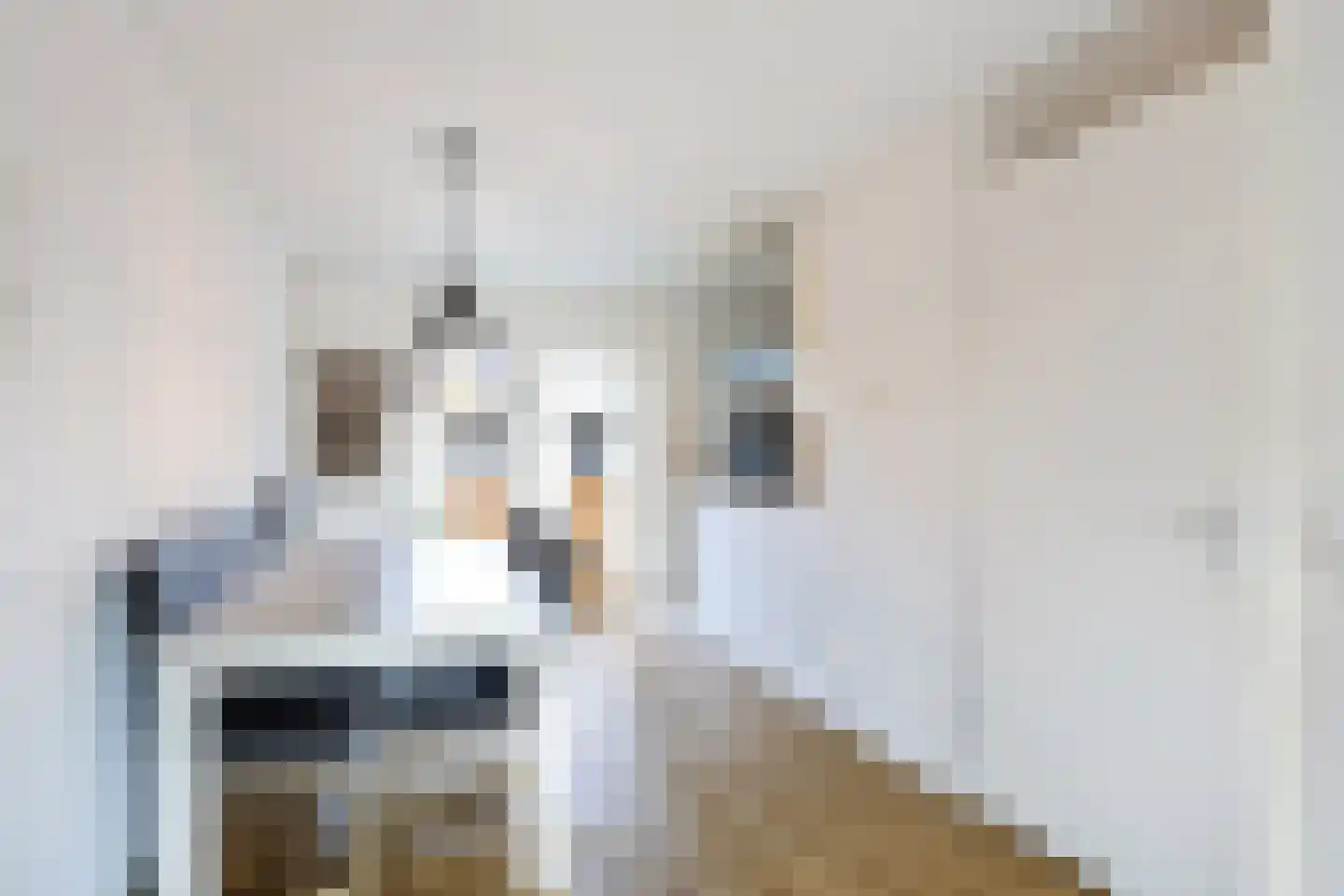 Boveneind 67 Leek thumbnail 27