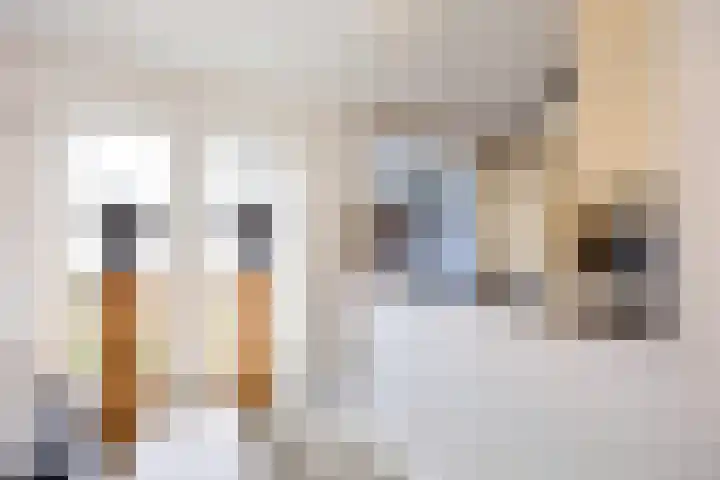 Boveneind 67 Leek thumbnail 28