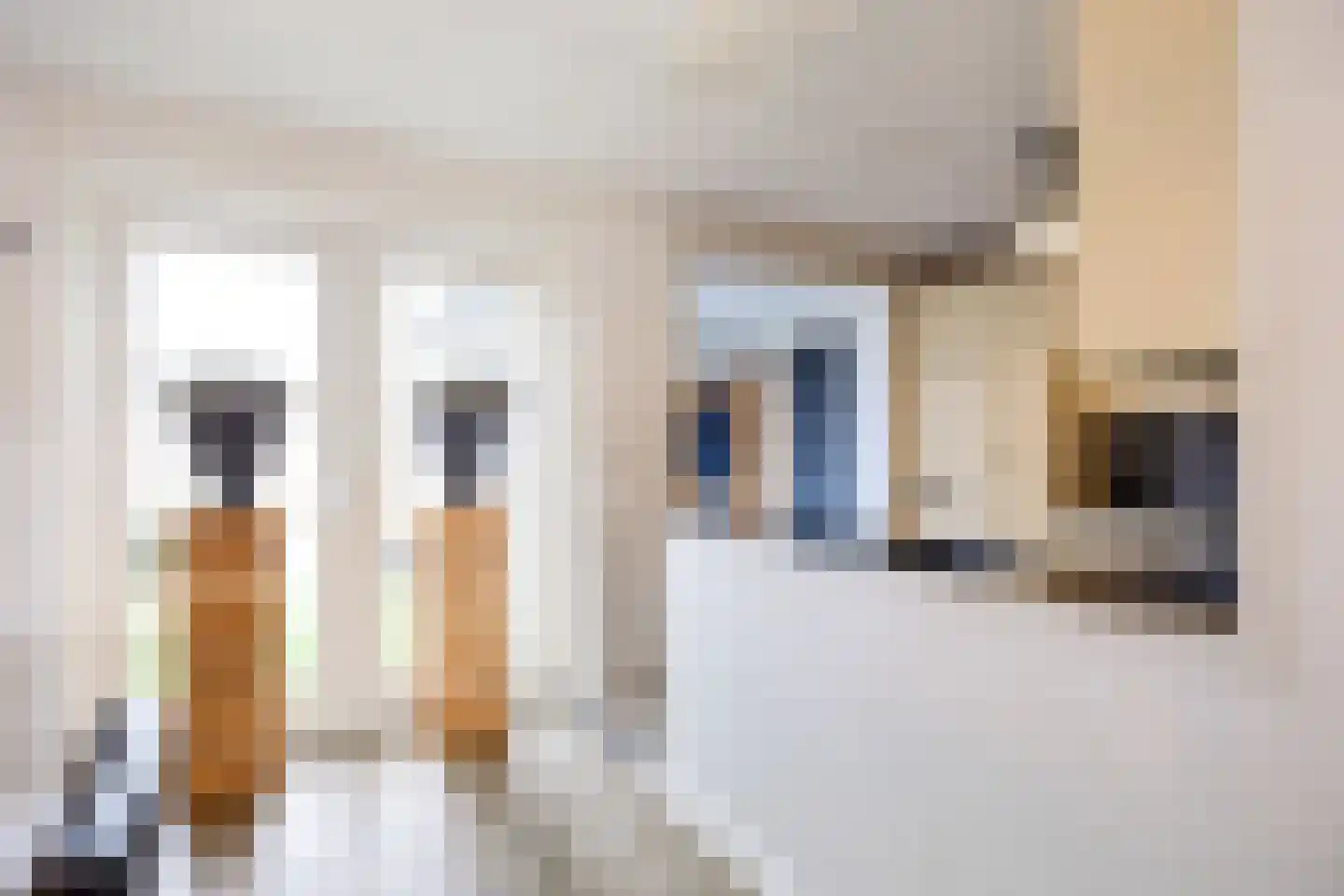 Boveneind 67 Leek thumbnail 28