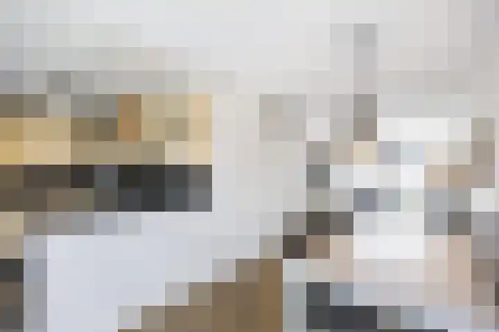 Boveneind 67 Leek thumbnail 29