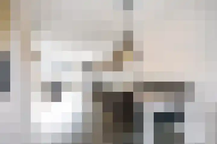 Boveneind 67 Leek thumbnail 30