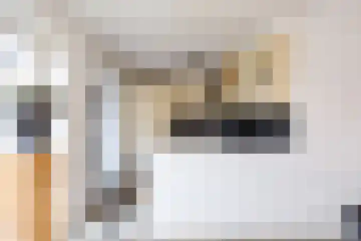Boveneind 67 Leek thumbnail 31