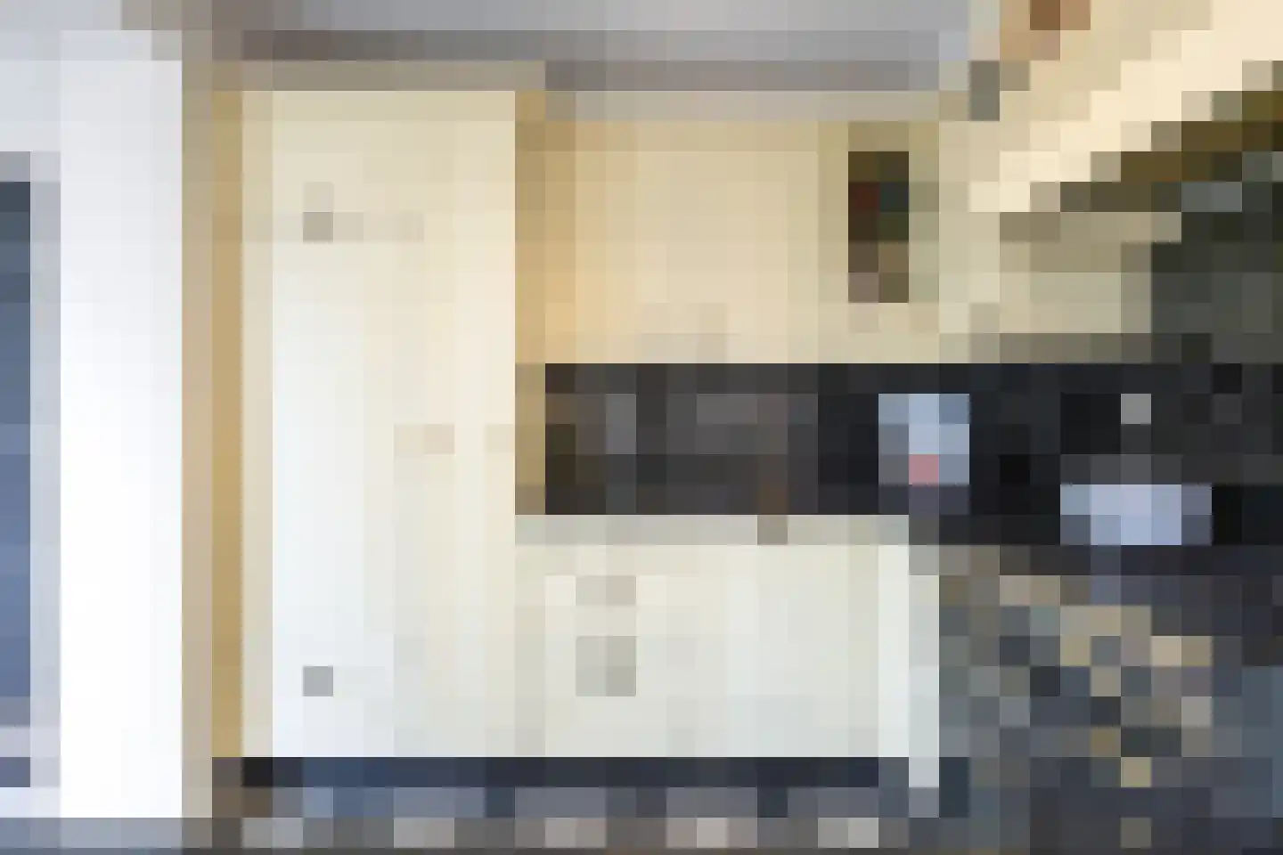 Boveneind 67 Leek thumbnail 32