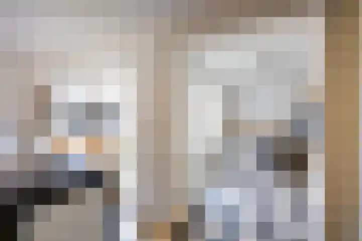 Boveneind 67 Leek thumbnail 35