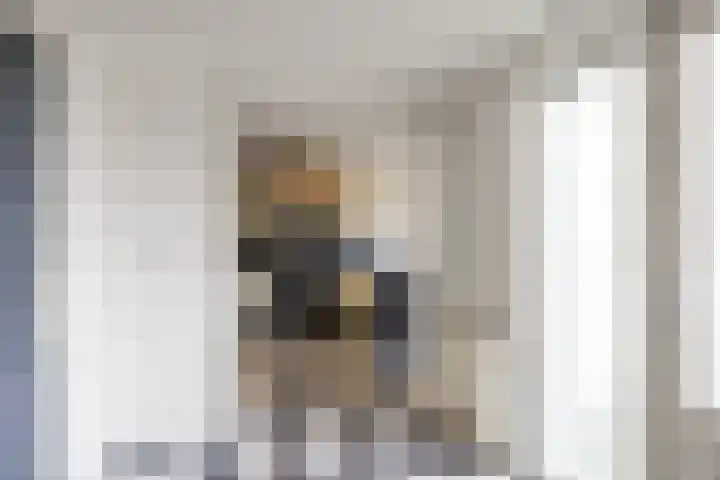 Boveneind 67 Leek thumbnail 38