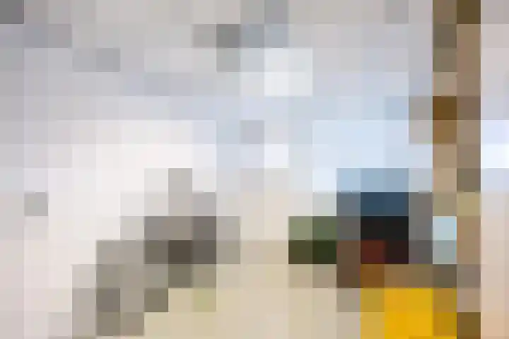 Boveneind 67 Leek thumbnail 39