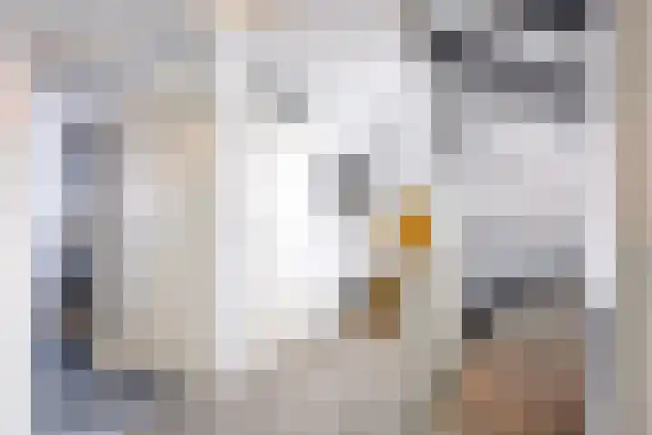 Boveneind 67 Leek thumbnail 41