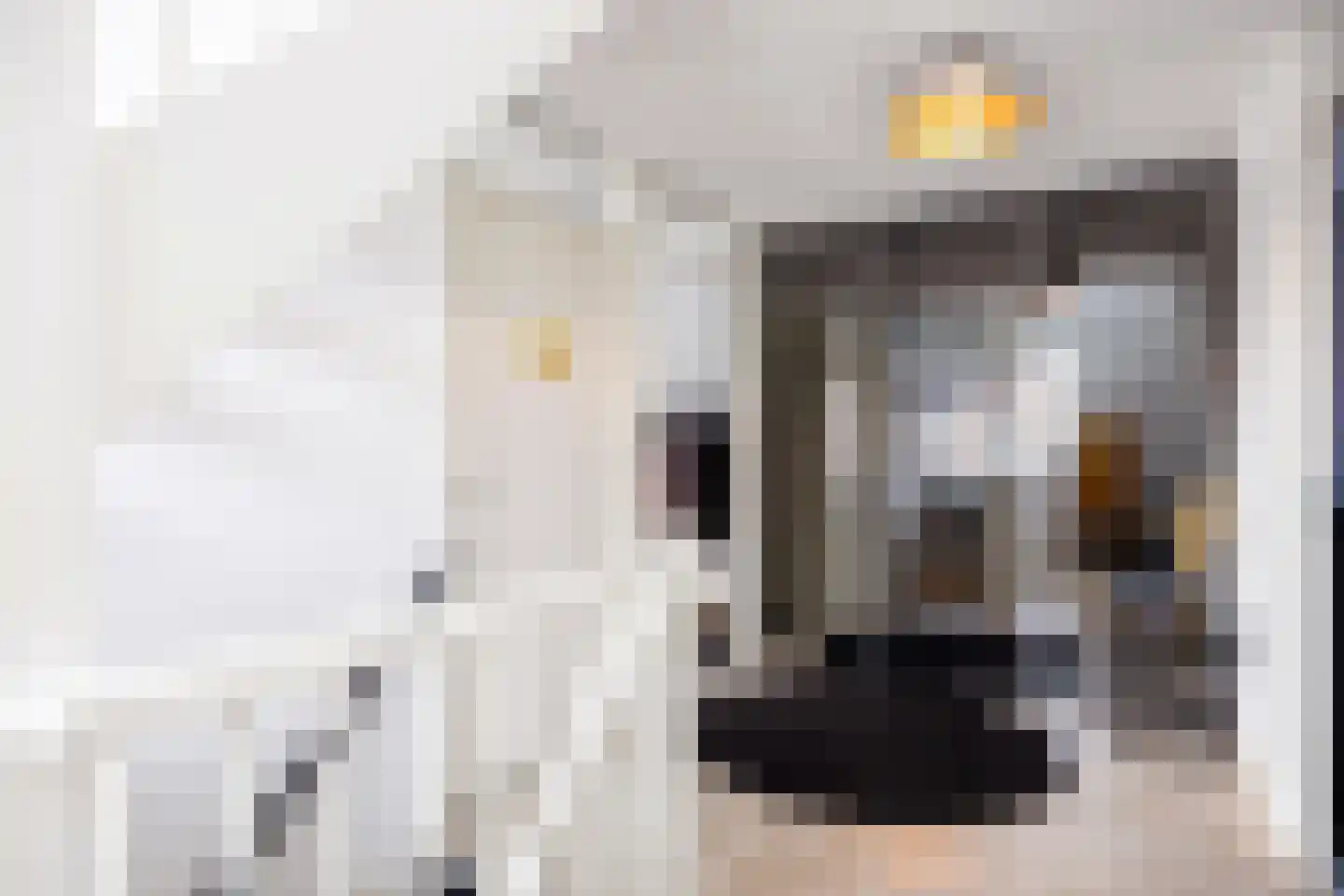 Boveneind 67 Leek thumbnail 42