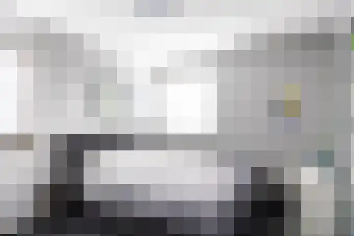 Boveneind 67 Leek thumbnail 47