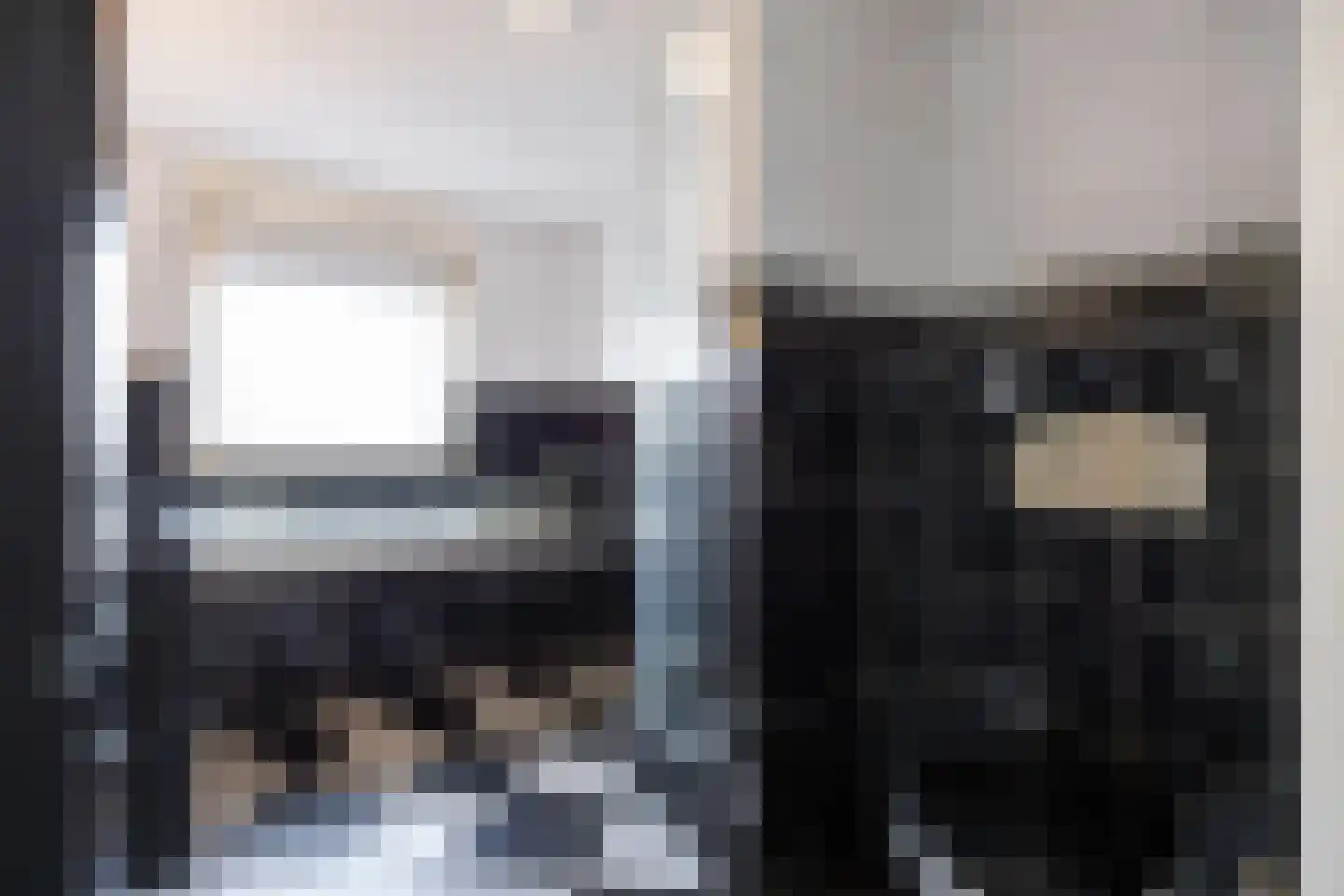 Boveneind 67 Leek thumbnail 49