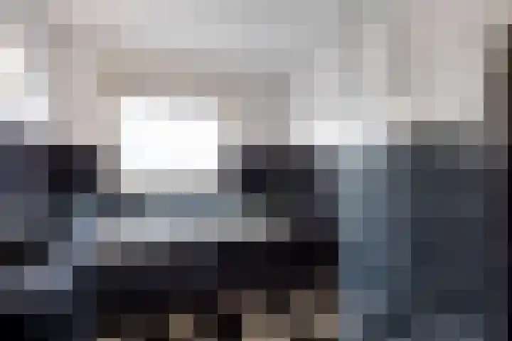 Boveneind 67 Leek thumbnail 50