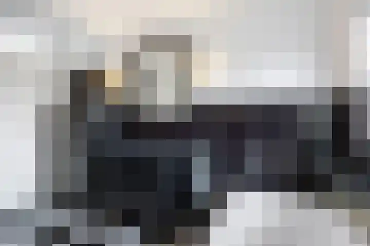 Boveneind 67 Leek thumbnail 51