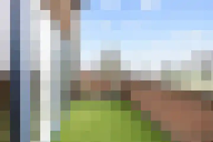 Boveneind 67 Leek thumbnail 55