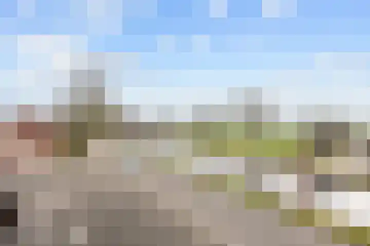 Boveneind 67 Leek thumbnail 56