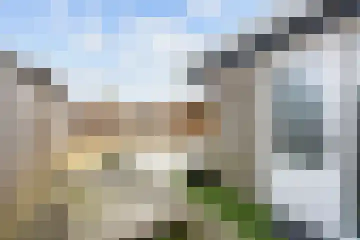 Boveneind 67 Leek thumbnail 59