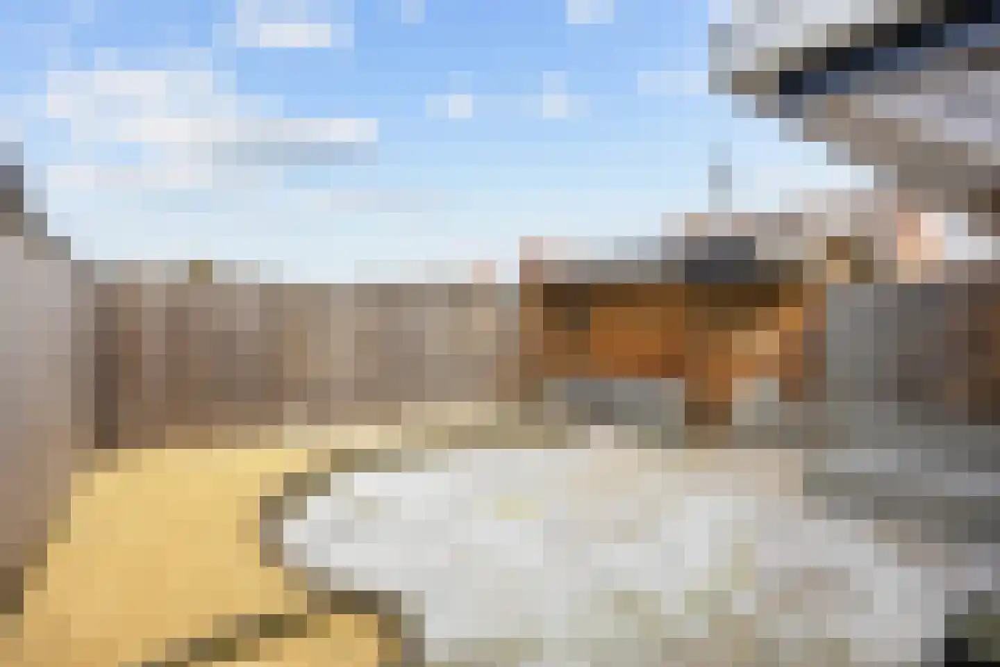 Boveneind 67 Leek thumbnail 60