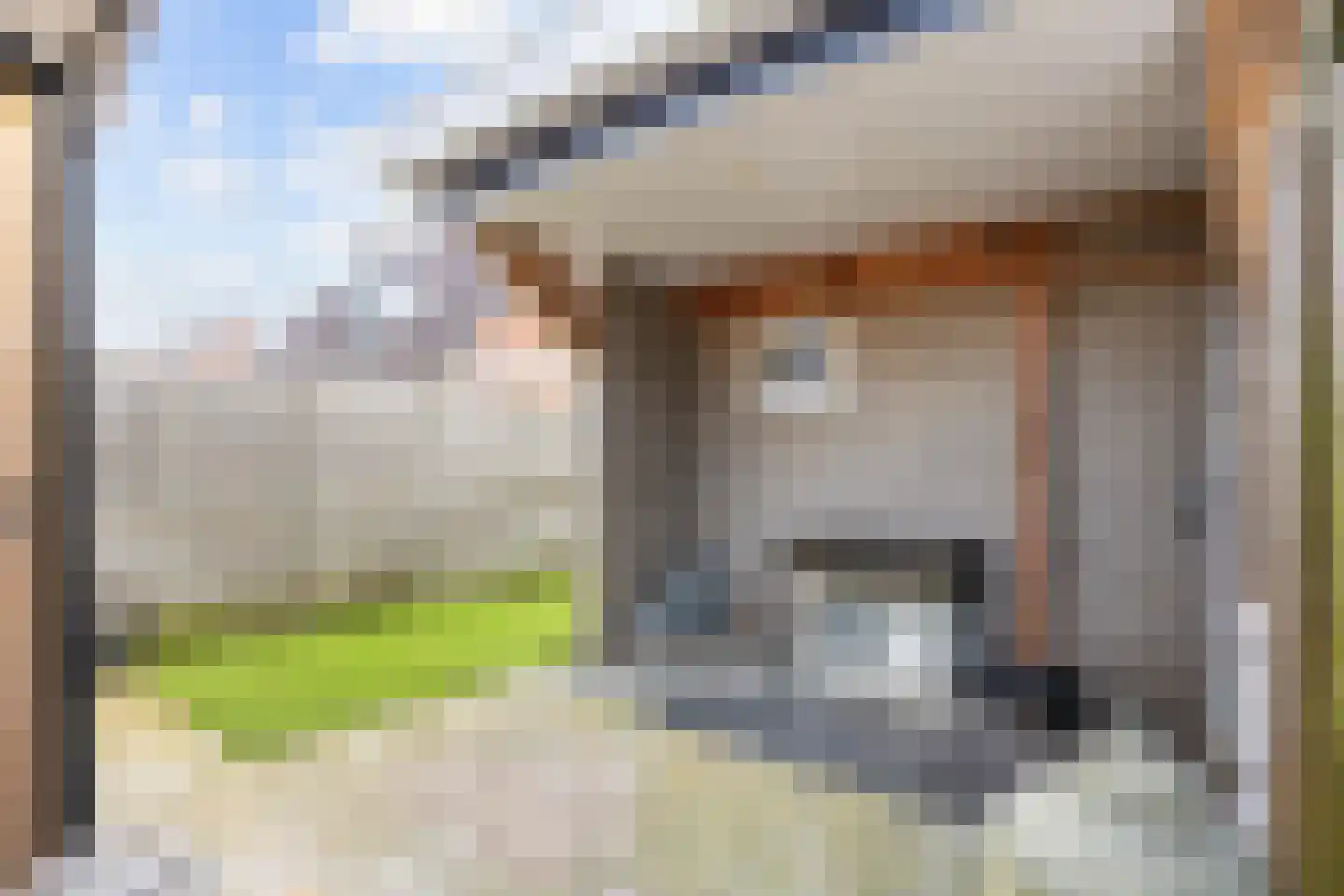 Boveneind 67 Leek thumbnail 64