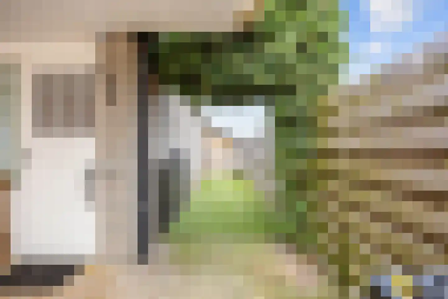 Boveneind 67 Leek thumbnail 65
