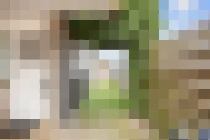 Boveneind 67 Leek thumbnail 65