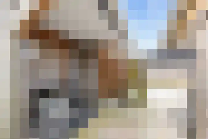Boveneind 67 Leek thumbnail 67