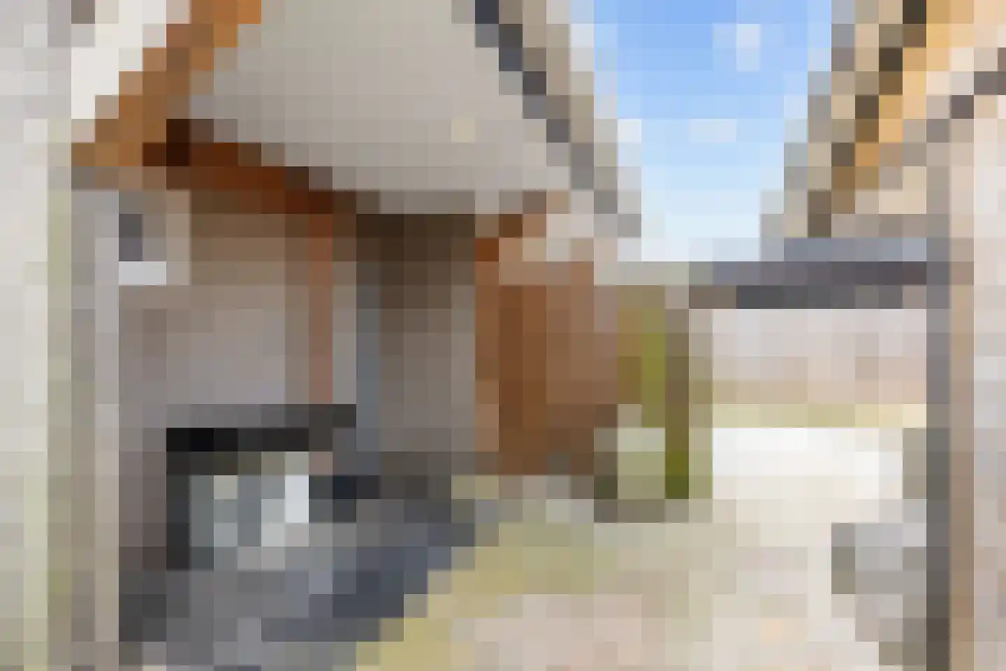 Boveneind 67 Leek thumbnail 67